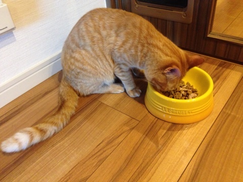 {52F9878E-20E5-49E9-8D96-678B77CF910B:01}