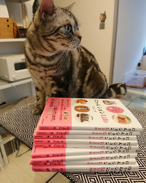 [画像:a0a67b7c-s.jpg]