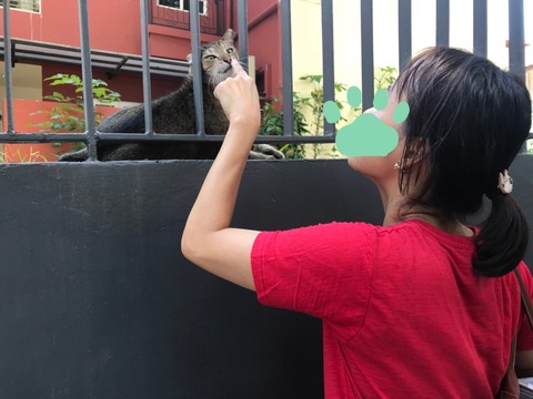 18-11-04-00-55-03-713_deco