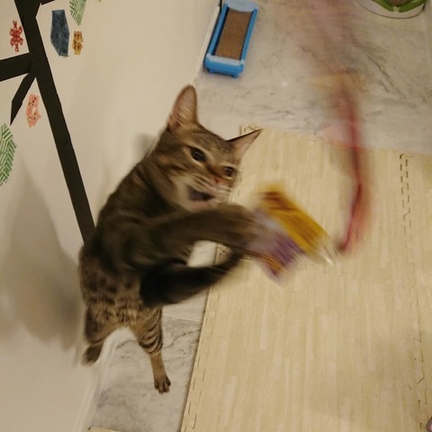 IMG_20180914_221104_327