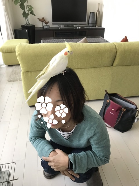 19-02-25-14-49-45-655_deco