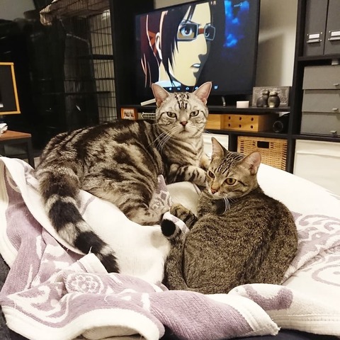 IMG_20190419_084857_446