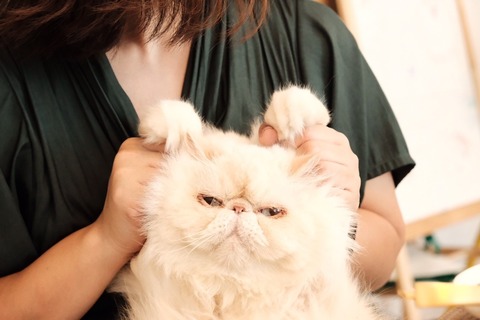 line_183930214014677