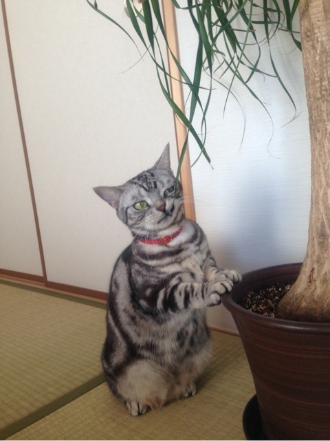 {C7A757DE-27E4-4709-AA41-42ED7FA2CFE6:01}