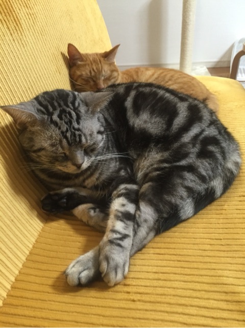 {5622CB73-2A78-476C-9919-7527765D0BDE:01}