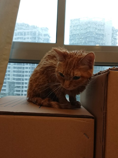 18-08-24-08-59-31-937_deco