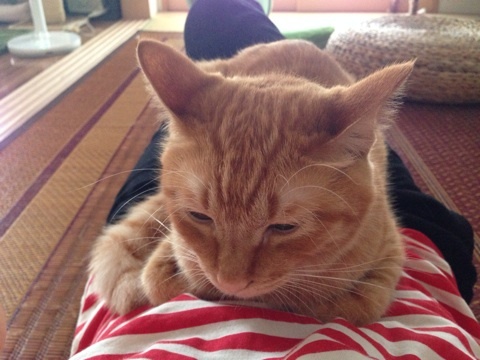 {06F8513B-84CF-469D-BED6-D384A905C31D:01}