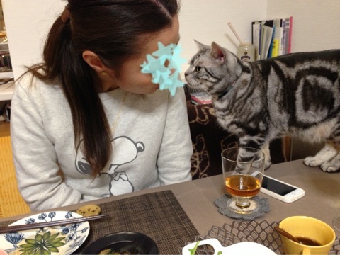 {6463461F-19E8-4295-BDCB-7F64E6FB5B83:01}