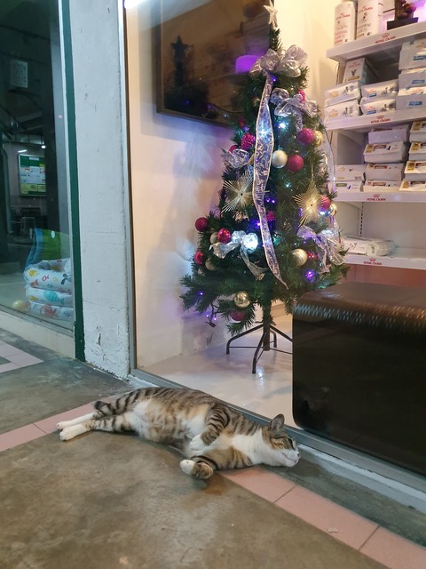 20191211_222839