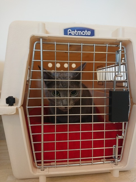 [画像:a520cfbb-s.jpg]