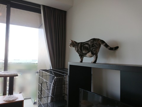 Point Blur_20181205_120145