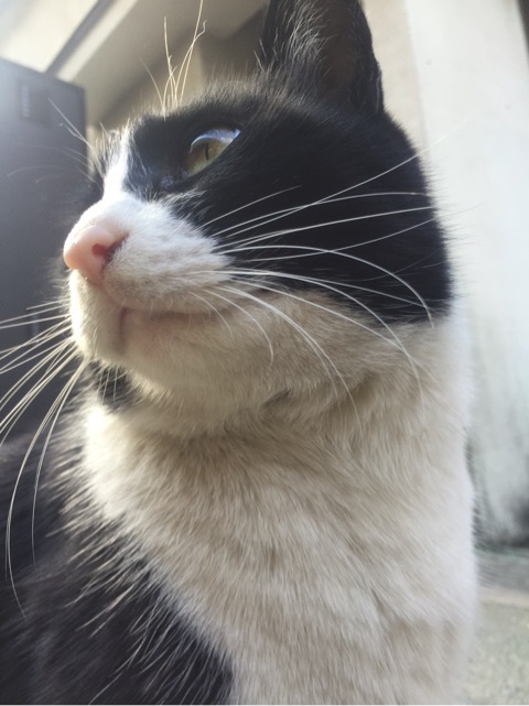 {A2E21E6F-110C-4871-B7A9-6064D2B49E9B:01}