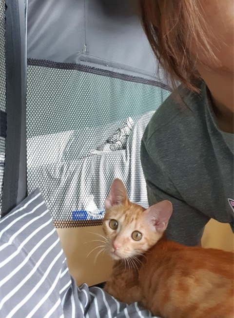 20-07-31-09-58-21-927_deco