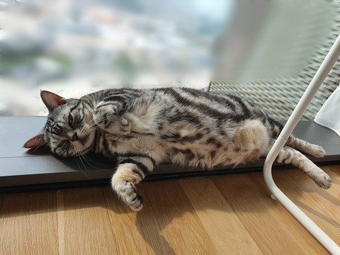 Point Blur_20191004_073505