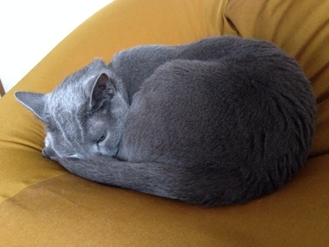 {1DD6E168-B6EE-4C82-A64C-344D283541AB:01}