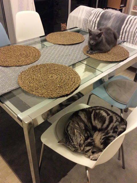 [画像:a7ab12b9-s.jpg]