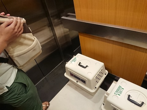 [画像:a7d7a6fb-s.jpg]