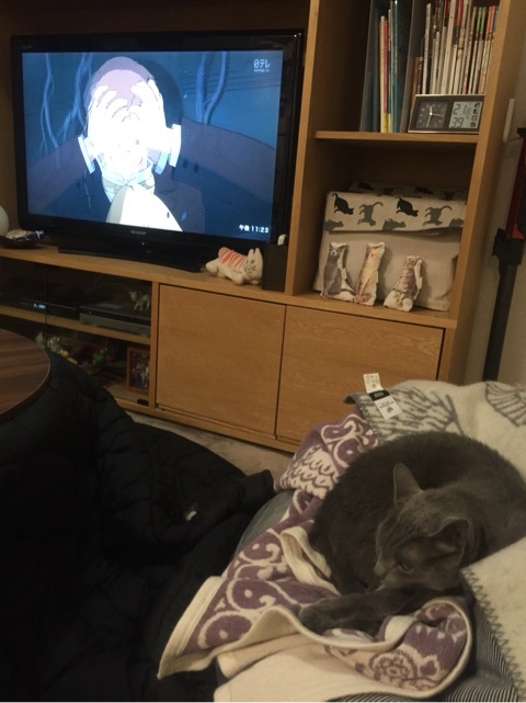 {E6317D5B-CB08-41FE-AA72-BC423BC9C3B7:01}