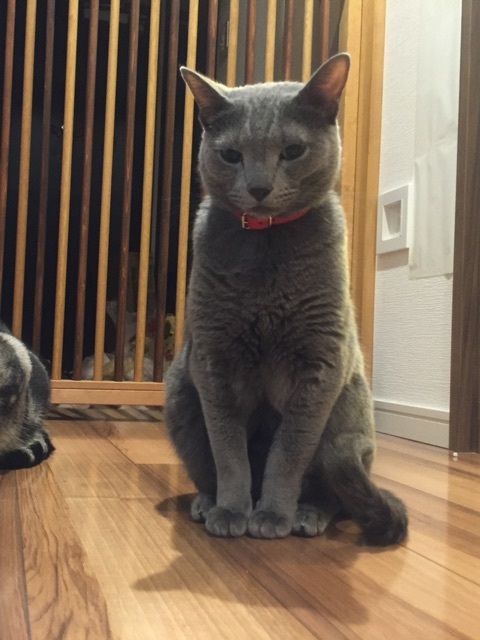 {C648BC38-A0C7-4448-9B4A-DB902325DB13:01}