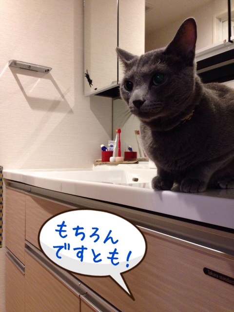 {082B287D-F1D2-40F3-82F1-7FEB4205B59A:01}