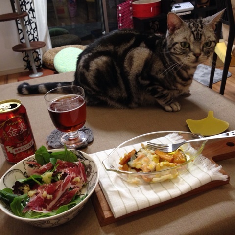 {196A8A3C-FF78-40FC-BD44-DE46F5D568D5:01}