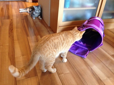 {FCFCE72E-662B-45D2-B982-B3DDF11A60D7:01}