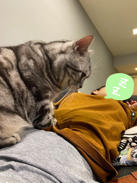 21-11-18-16-10-47-853_deco