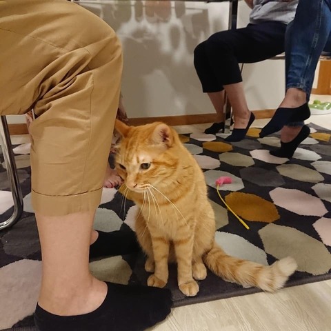 IMG_20181222_105746_724