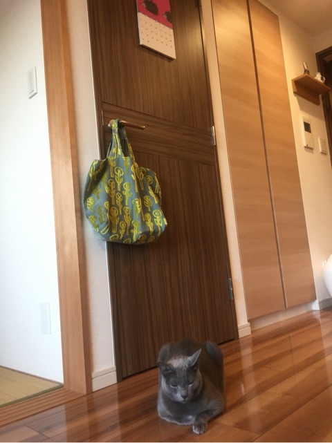 {B862E57F-ACB2-42E6-AEB4-65906ABDFC07:01}