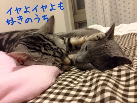 {EF36790B-A865-428B-9CB6-D93F2040F37B:01}