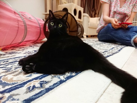 IMG_20190618_145246_020