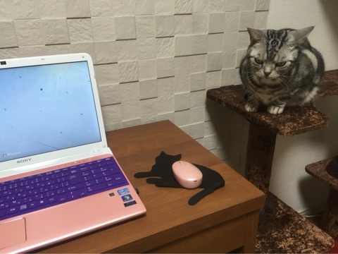 {40E8A768-050A-4923-8A7B-217589E9B48E:01}