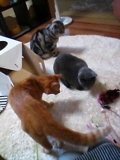 {BC97FDB2-021D-497D-8651-E77F8F23B7E6:01}