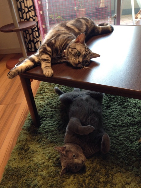 {28A222DC-5B69-4740-BFA1-F52FEFA91A86:01}