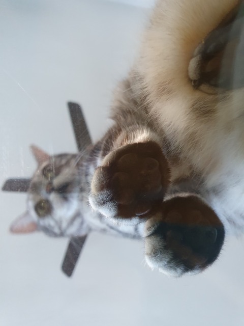 20200525_142837