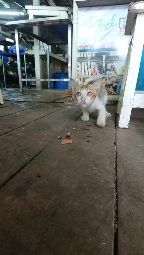 IMG-20190921-WA0025