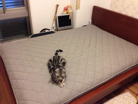 {A35EE5C3-C6E8-423C-BD28-62531F442B24:01}