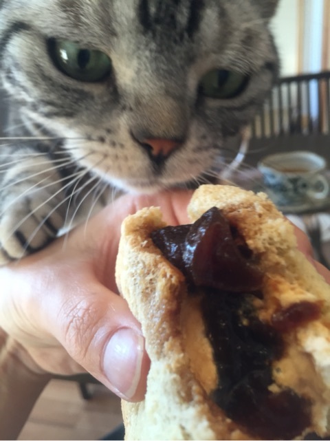 {9B49E920-8D33-47DD-BCC4-1449526BD3BD:01}