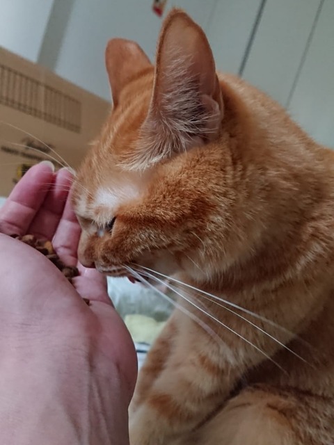 18-11-24-21-09-28-732_deco