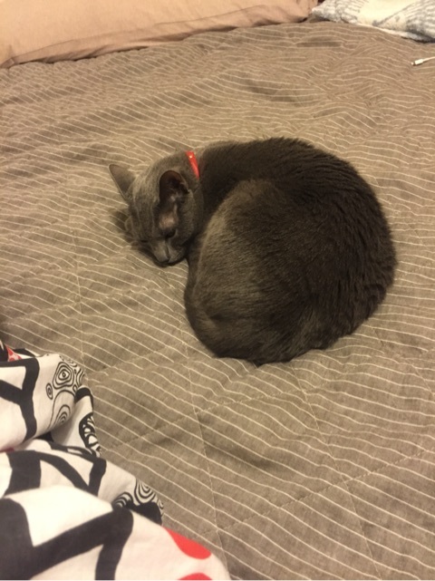 {6B2984F8-C37B-435F-AD14-008F0CB0F0FA:01}