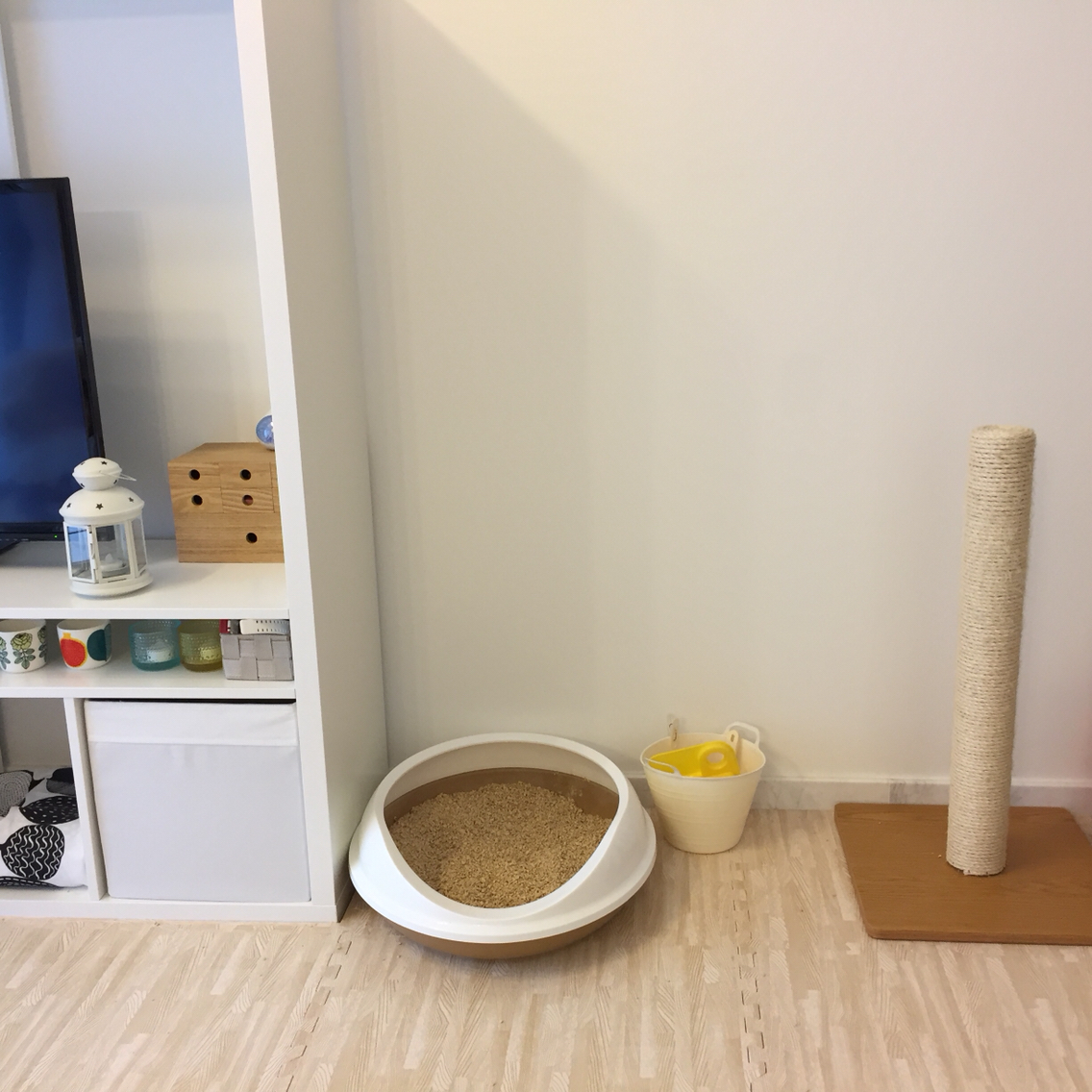 Ikeaの収納ボックスを猫トイレにしてみた ねころぐ にゃんごくlife クアラルンプール Powered By ライブドアブログ