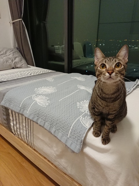 DSCPDC_0000_BURST20190104000958363