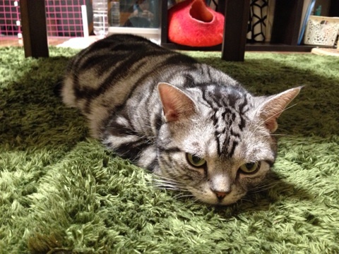 {A73FCCDF-C277-4457-8B9E-8DAF1B6673B2:01}