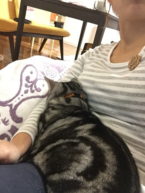 {4FADDEBC-A2A9-440A-BA6B-3F020EF23C81:01}