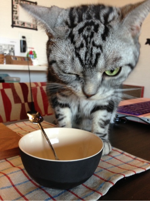 {1BE190DA-9675-4C2C-87E2-D76ACE31BBB4:01}