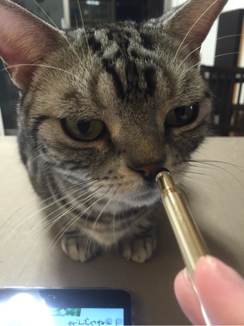 {DD93B07E-3EB1-4F03-ACC2-577A227ACC5A:01}