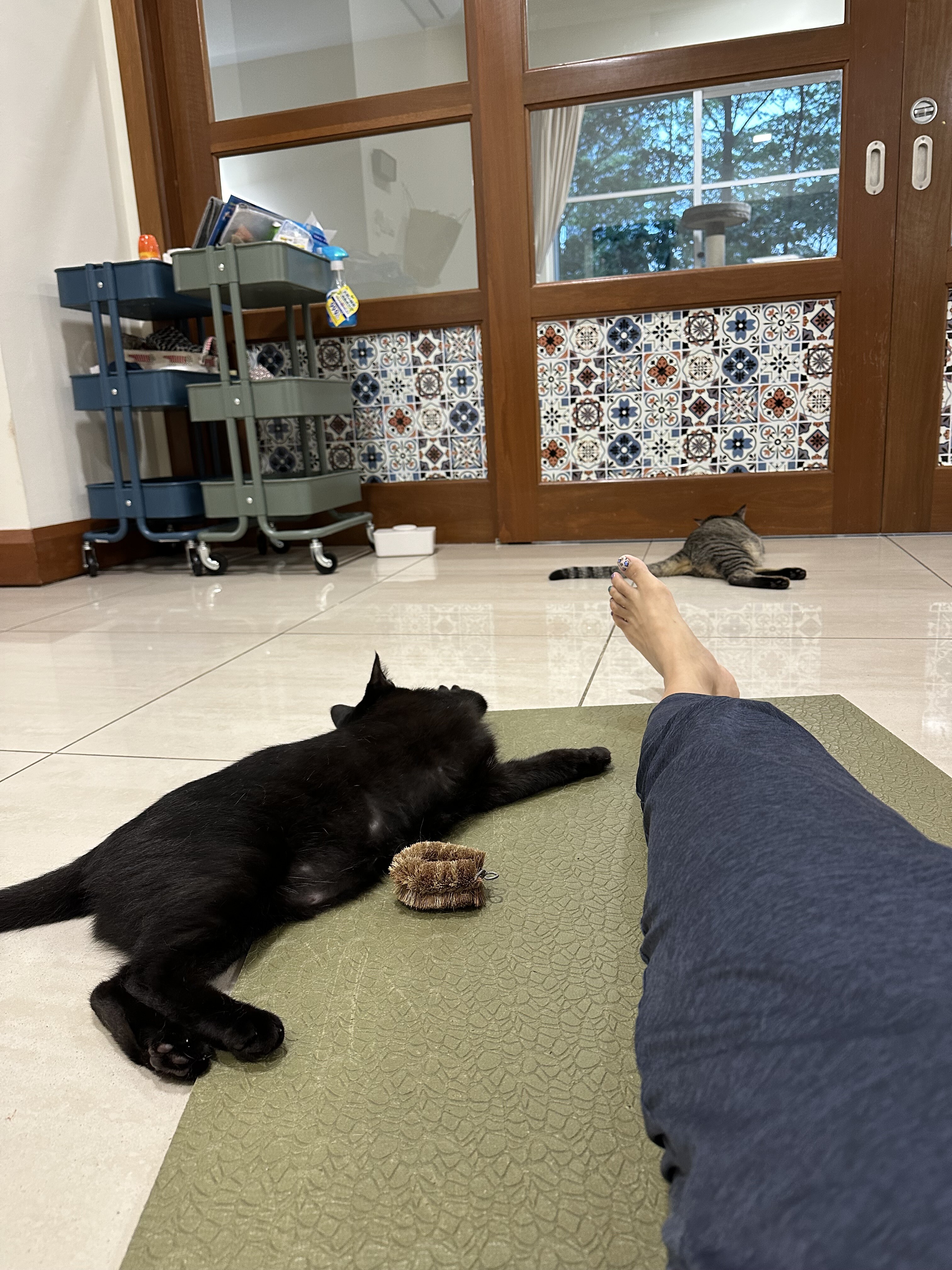 猫飼いさんにおすすめのヨガマット : ねころぐ ～にゃんごくLife