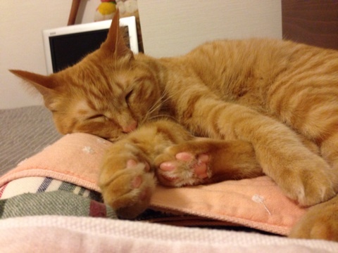 {F0B455A5-3194-41EB-80EF-D8906A154C7D:01}