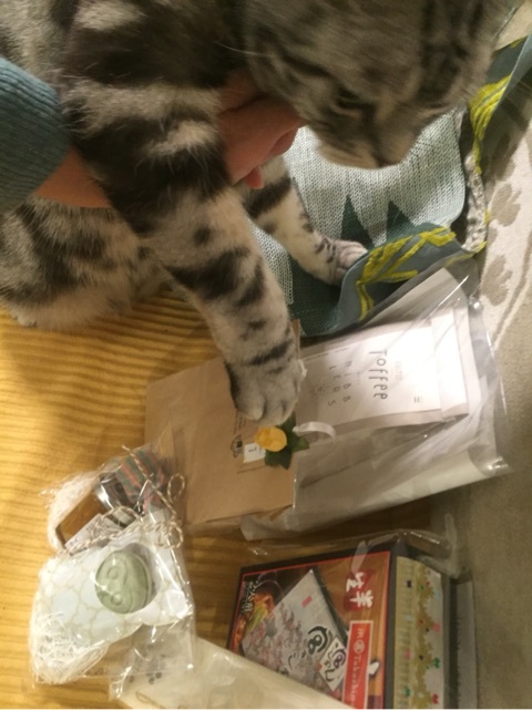 {AC6639B7-4928-496D-BDDF-A0511B16C11B:01}