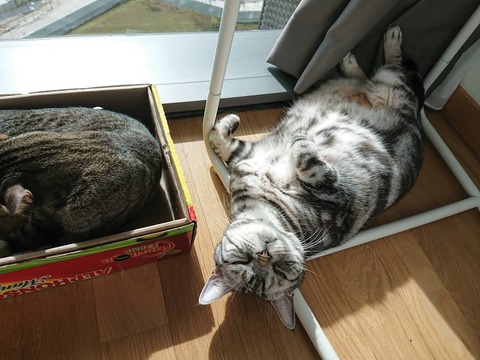 IMG_20190111_101453_210